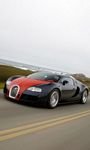 pic for bugatti veyron 480x800